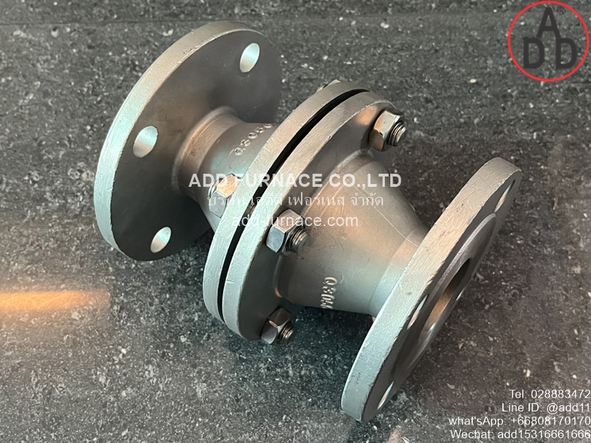 Arrester Fire Back Valve Flange DN50(5)